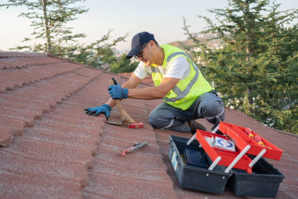 Best Roof Leak Repair  in Libertyvle, IL